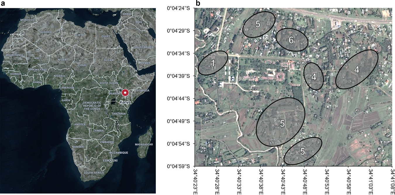 Map locating the study area in Kisumu, Kenya, within Africa, with satellite imagery.